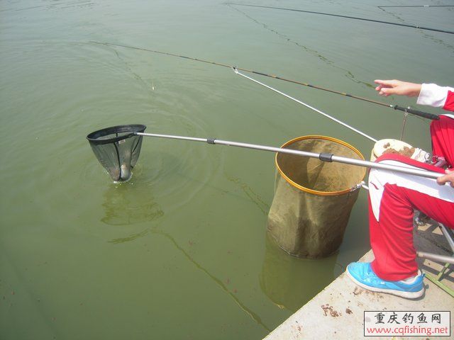 DSCN8436.JPG