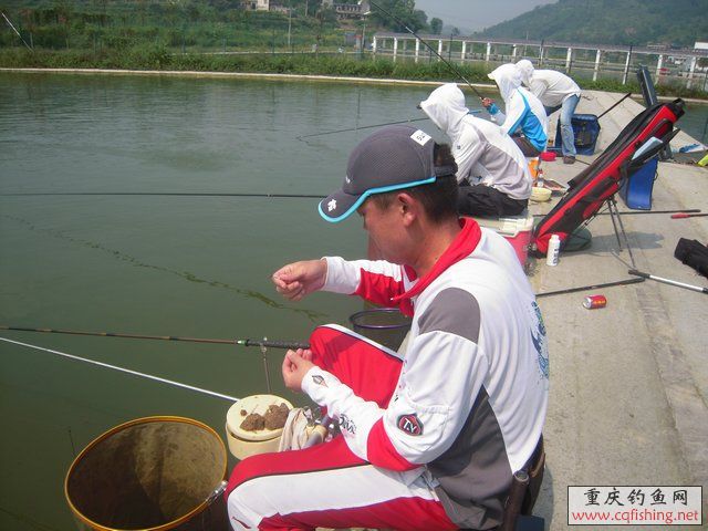DSCN8438.JPG