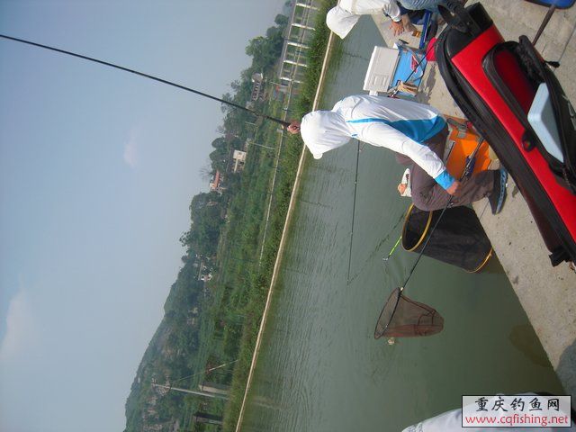 DSCN8439.JPG