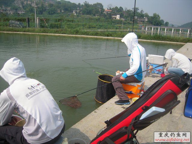 DSCN8440.JPG