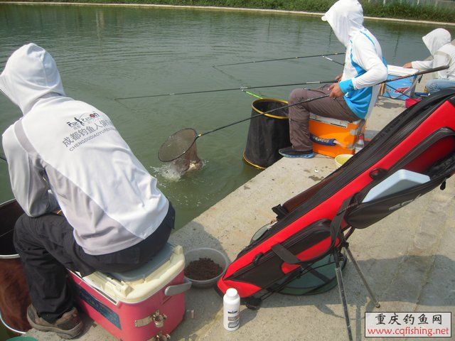 DSCN8442.JPG