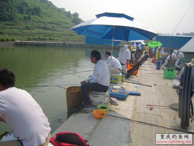 DSCN8444.JPG