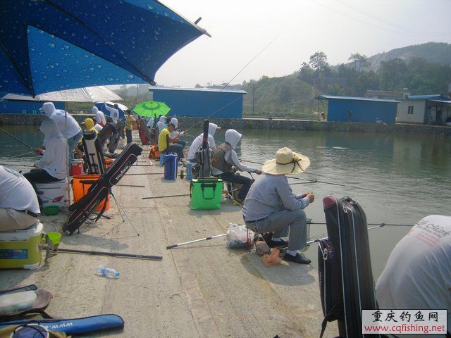 DSCN8445.JPG