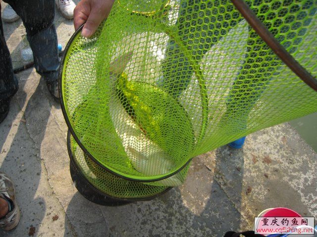 DSCN8446.JPG