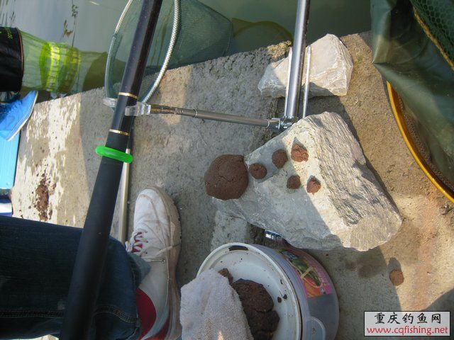 DSCN8450.JPG