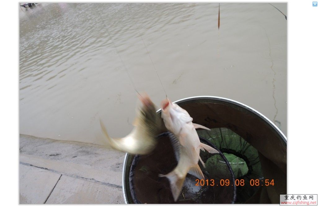 QQͼƬ20130913055427.jpg