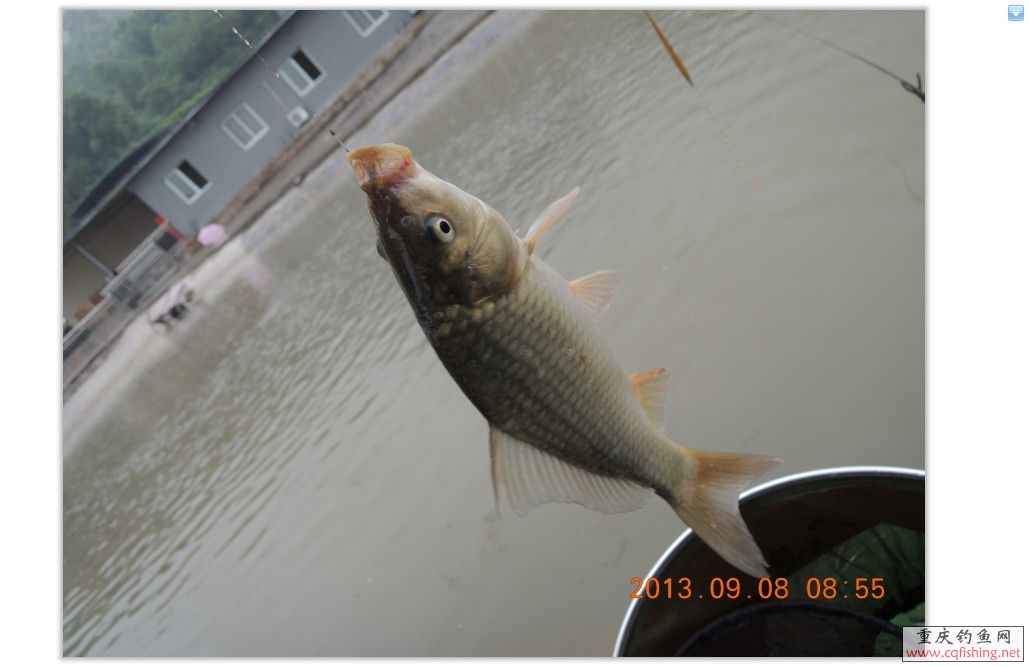 QQͼƬ20130913055448.jpg