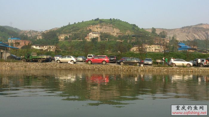 200203nqfzrj86zarftzej.jpg