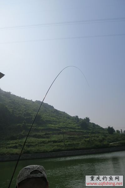 202848xgef093htc5ealtx.jpg