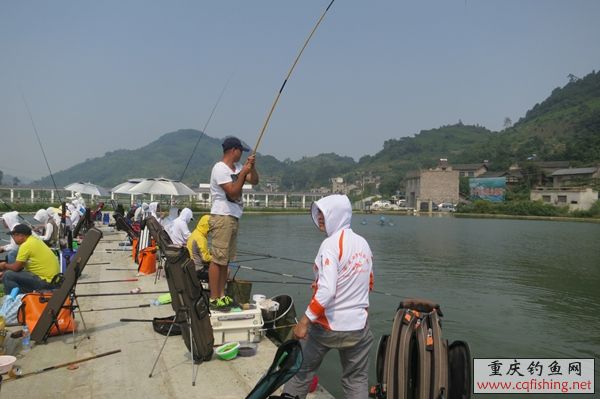 070547qu1vm6l66tvq9mpm.jpg