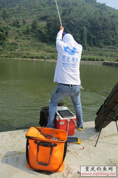 070824y440m7m74qmt2tji.jpg