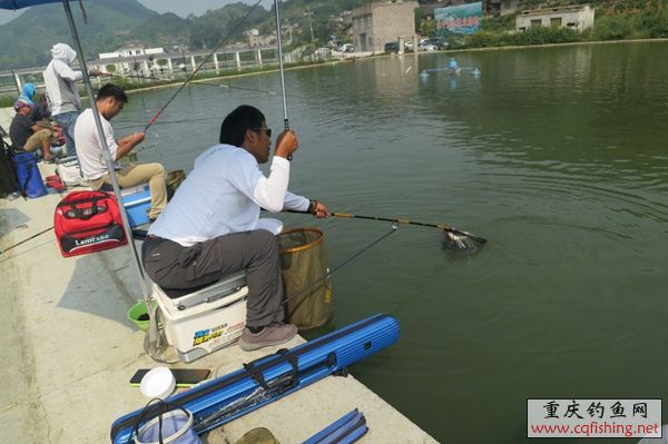 070902h6op33ghne9y8ou3.jpg