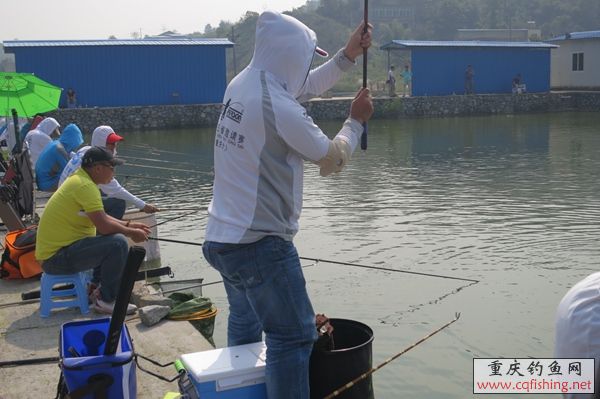 071200dzeif7izpqx2ve2e.jpg