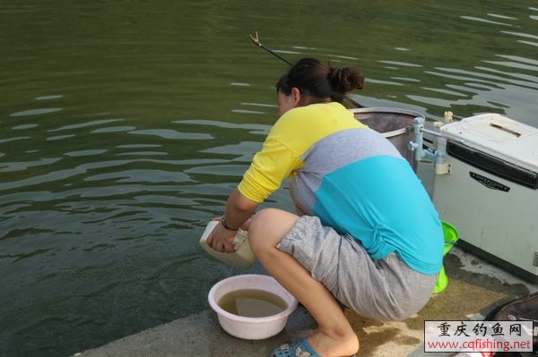 071803peb2vlbezlz2sqbb.jpg