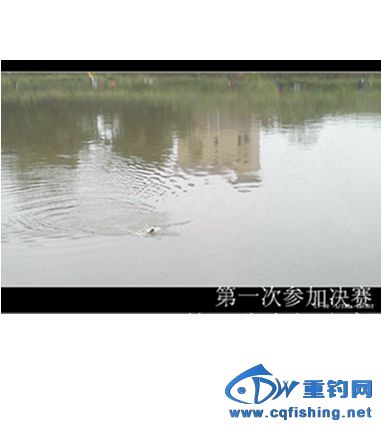 20130928732_.jpg