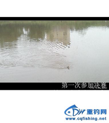 20130928733_.jpg