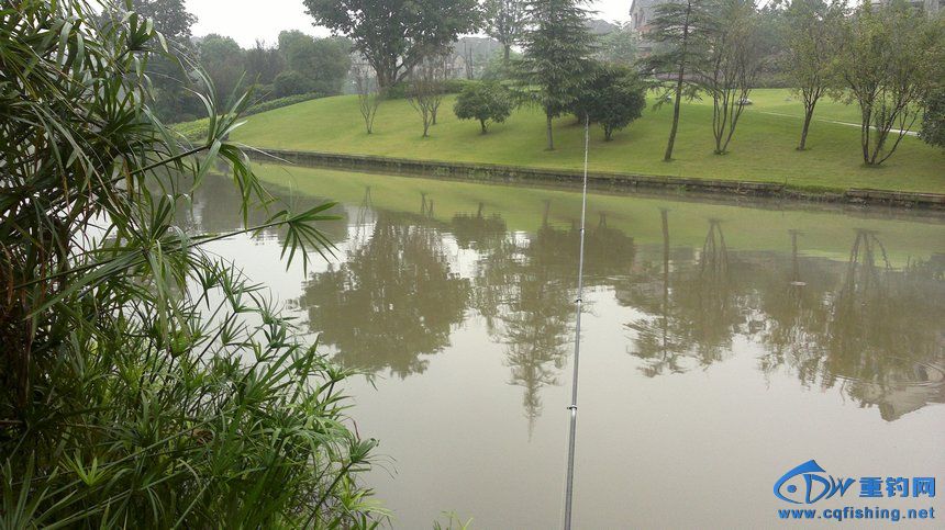 2013-10-03-2075.jpg