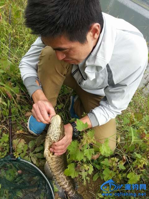 20131001_130615.jpg