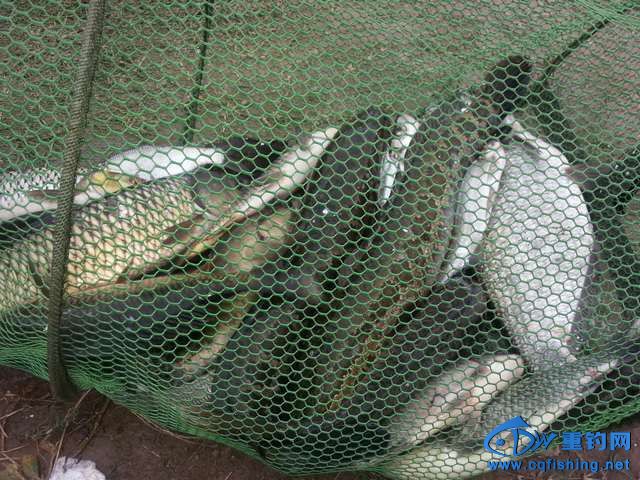 20131002_161049.jpg