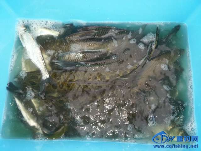 20131002_164446.jpg