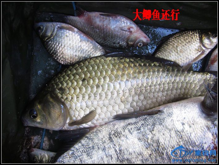 nEO_IMG_IMG_4631.jpg