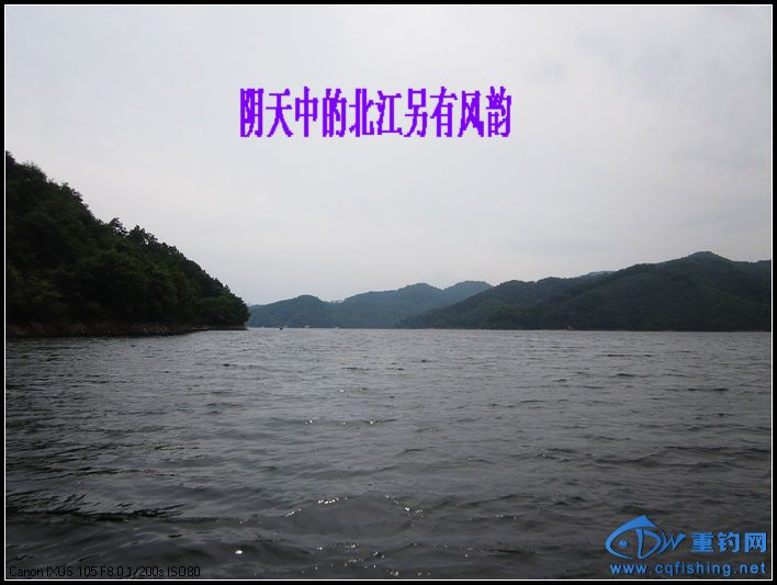 nEO_IMG_IMG_4602.jpg