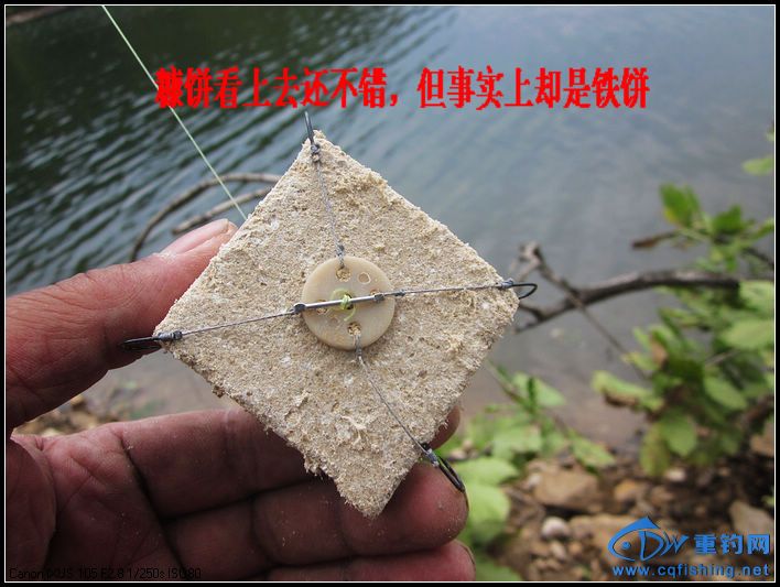nEO_IMG_IMG_4611.jpg