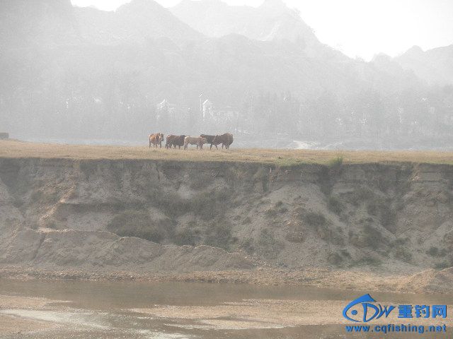 PA060002.JPG