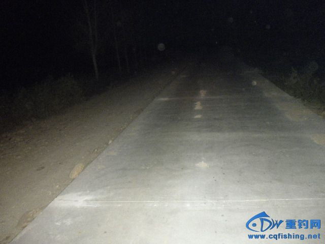 PA070004.JPG