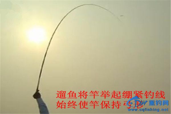 1208211734cae5256b9b561f45_.jpg