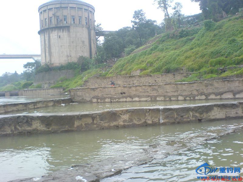 DSC00147_.jpg