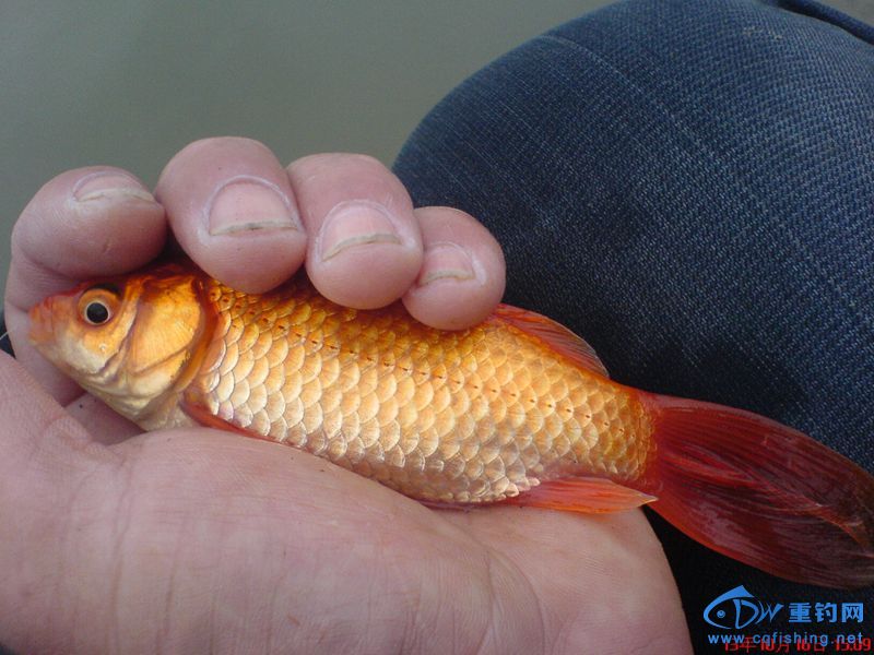 DSC00145_.jpg