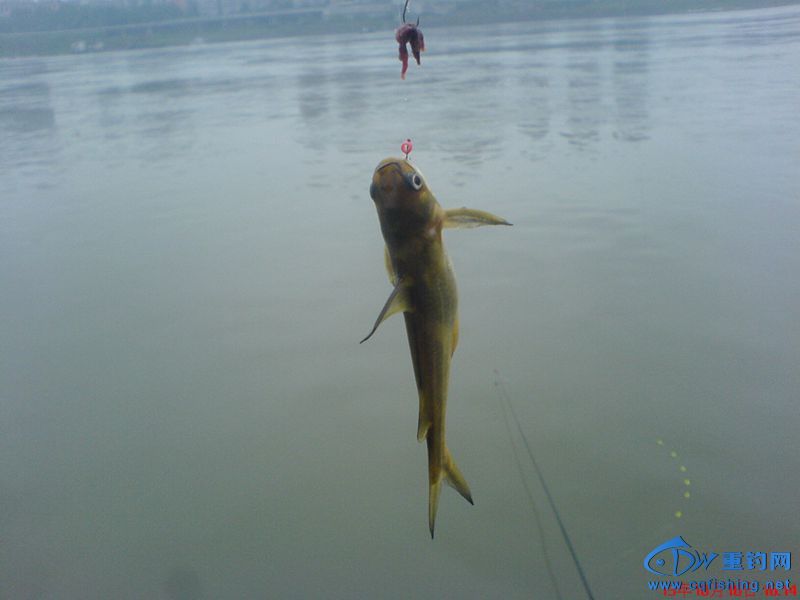 DSC00149_.jpg