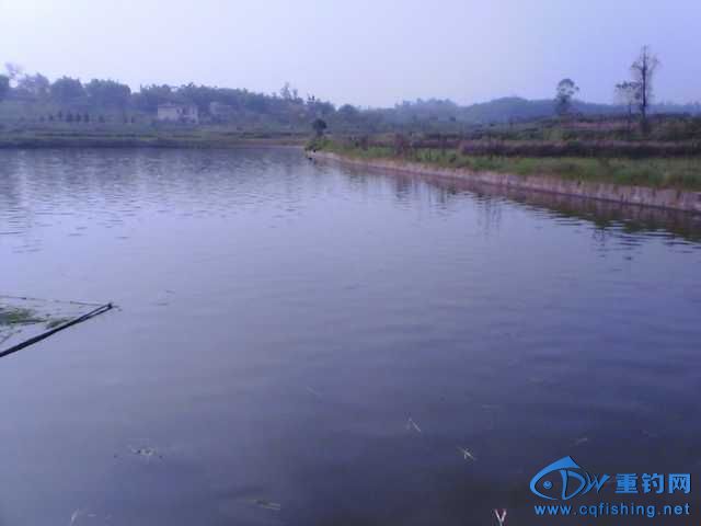 IMG_20131006_141748.jpg