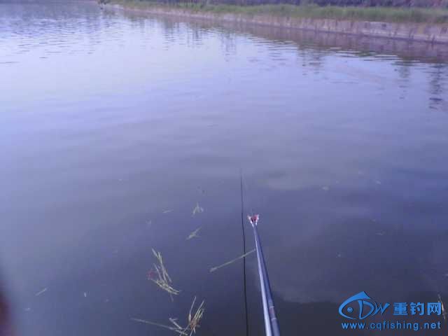 IMG_20131006_142929.jpg