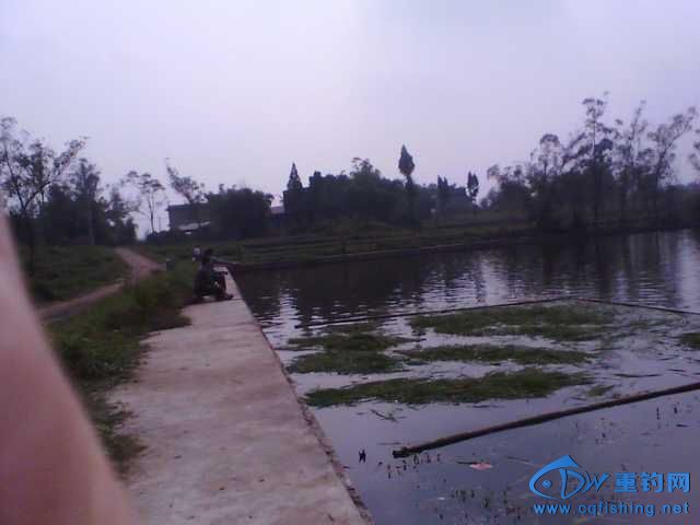 IMG_20131006_143735.jpg