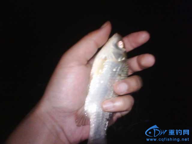 IMG_20131006_195435.jpg