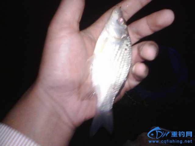 IMG_20131006_200658.jpg