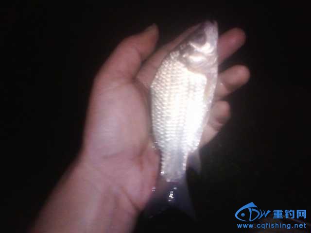 IMG_20131006_203542.jpg