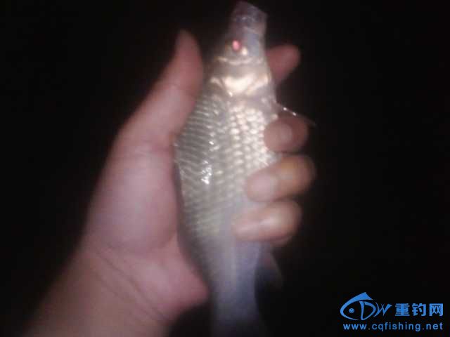 IMG_20131006_211039.jpg