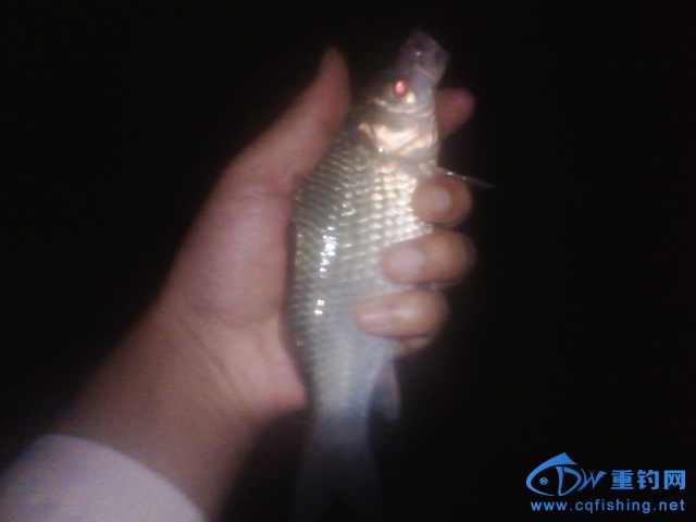 IMG_20131006_211058.jpg