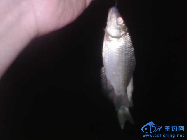 IMG_20131007_194404.jpg
