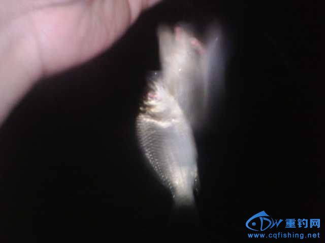 IMG_20131007_194410.jpg