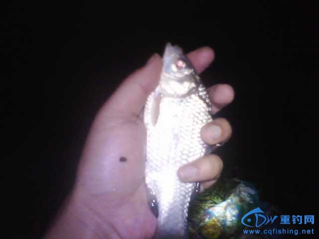 IMG_20131007_195344.jpg