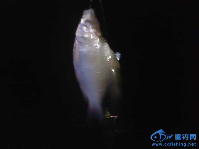 IMG_20131007_195523.jpg