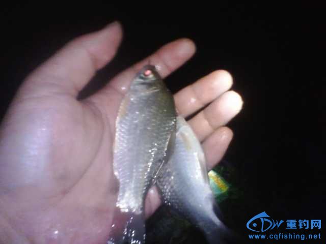 IMG_20131007_195534.jpg