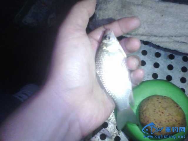IMG_20131007_200051.jpg