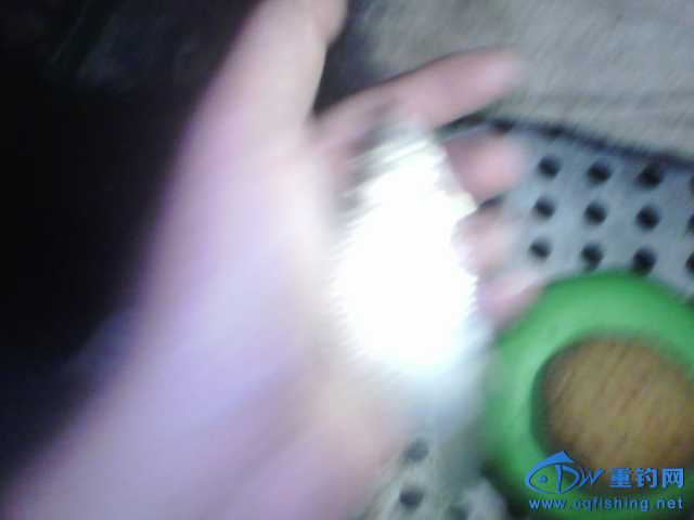 IMG_20131007_200046.jpg