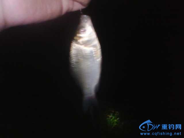 IMG_20131007_201239.jpg