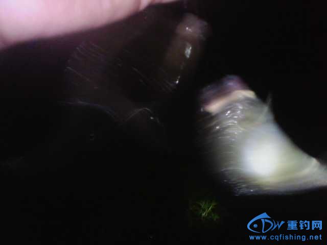 IMG_20131007_201232.jpg